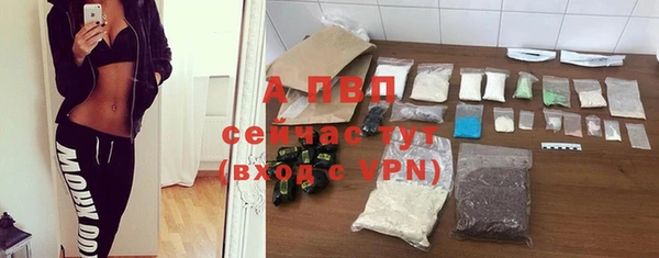 стафф Баксан