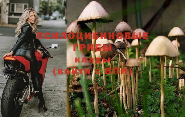 стафф Баксан