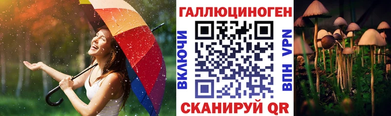 ОМГ ОМГ купить Саратов Псилоцибиновые грибы ЛСД